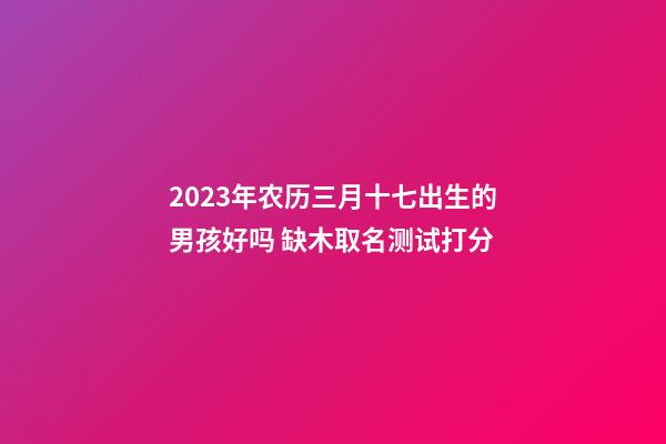 2023年农历三月十七出生的男孩好吗 缺木取名测试打分